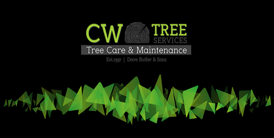 Services CW Tree Services Tree Surgeons Burton CW Tree Services